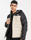 The North Face Synthetic Jacket In Beige Exclusive