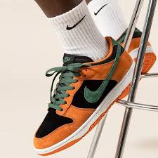 Nike air dunk shoes