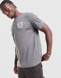 Champion T-shirt Small Logo Gris