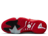 Jordan Jumpman Trey Two "Bred/Concord" Shoes
