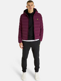 Lyle & Scott Lightweight Puffer Jacket Burgundy
