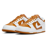Nike Dunk Low Multicolor shoes