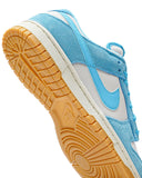 Nike air dunk shoes