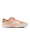 Nike SB Dunk Low Trocadéro Gardens Homme