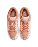 Nike SB Dunk Low Trocadéro Gardens Homme