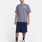 Nike SB Yuto Max90 T-Shirt - Light Carbon