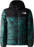 THE NORTH FACE Unisex Kids Never Stop jacket