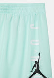 Nike Air jordan Shorts