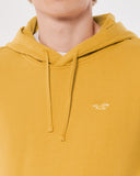 Hollister hoodie