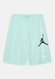 Nike Air jordan Shorts