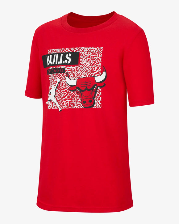 Nike air jordan Bulls T shirt