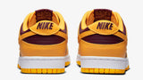 Nike dunk LOW  shoes